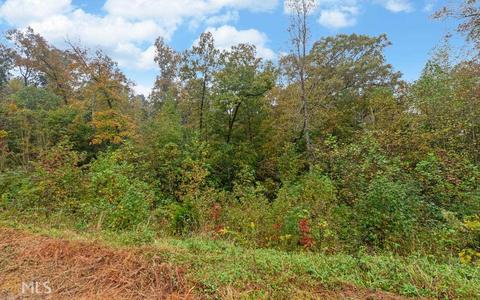 100 Dogwood Cv, Toccoa, GA 30577 photo 38