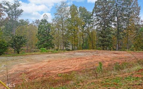 100 Dogwood Cv, Toccoa, GA 30577 photo 33