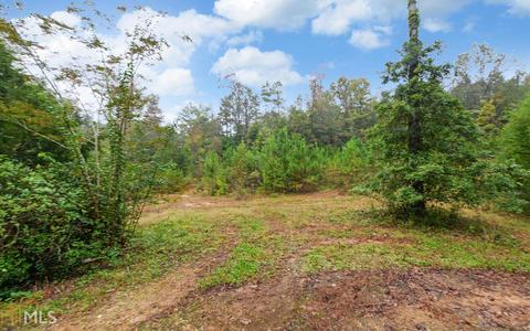 100 Dogwood Cv, Toccoa, GA 30577 photo 13