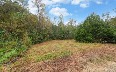 100 Dogwood Cv, Toccoa, GA 30577 photo 36