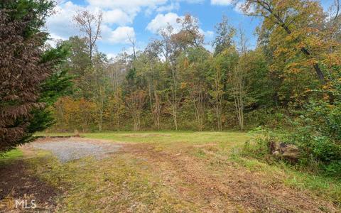 100 Dogwood Cv, Toccoa, GA 30577 photo 39