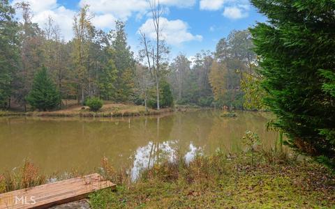 100 Dogwood Cv, Toccoa, GA 30577 photo 29