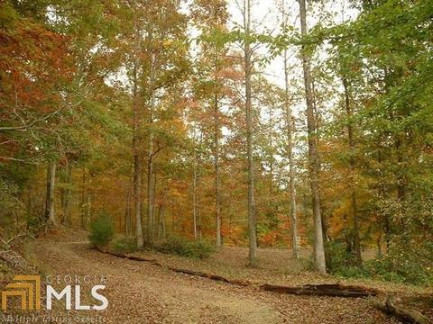 100 Dogwood Cv, Toccoa, GA 30577 photo 42