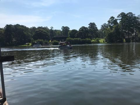 388 Lakeshore Dr, Jackson, GA 30233 photo 8
