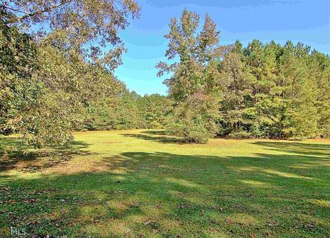 13781 Ricketts Rd, Hampton, GA 30228 photo 84