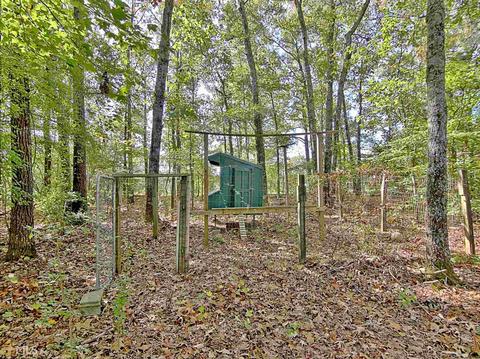 13781 Ricketts Rd, Hampton, GA 30228 photo 79