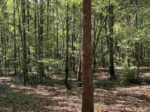 314 Timberline Rd, Jackson, GA 30233 photo 55