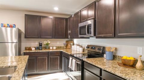 447 Whitby Ter, Hampton, GA 30228 photo 24