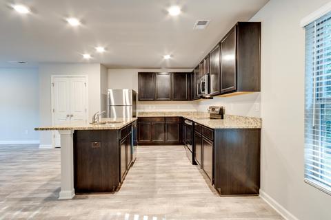 447 Whitby Ter, Hampton, GA 30228 photo 3