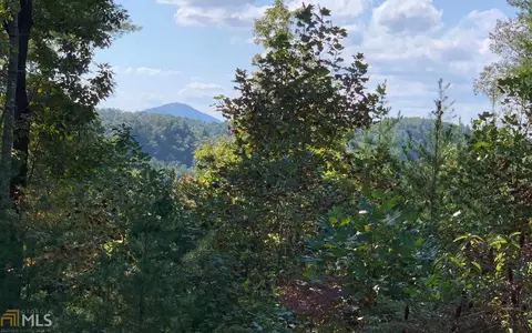 622 Mission Dam Rd, Hayesville, NC 28904 photo 3