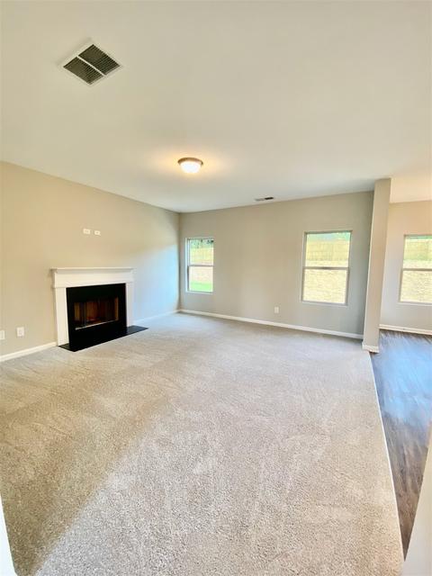 449 Clematis Ct, Temple, GA 30179 photo 5