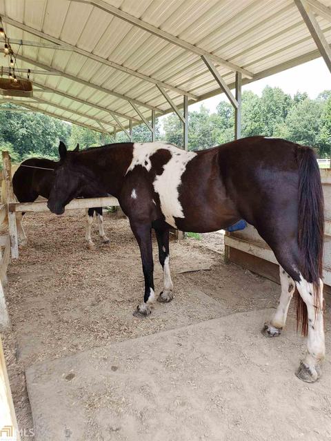 870 E Mize Rd, Demorest, GA 30535 photo 14