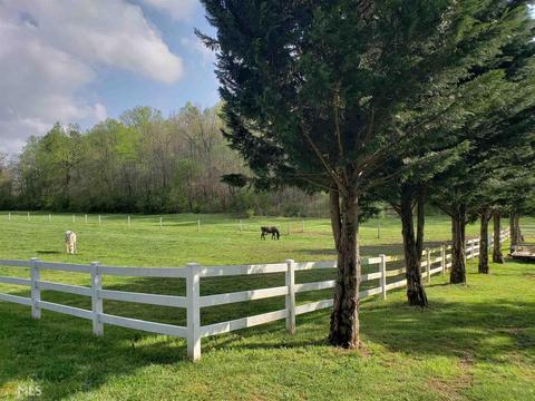870 E Mize Rd, Demorest, GA 30535 photo 9