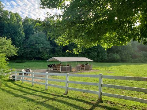 870 E Mize Rd, Demorest, GA 30535 photo 61
