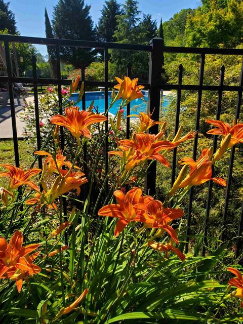 870 E Mize Rd, Demorest, GA 30535 photo 58
