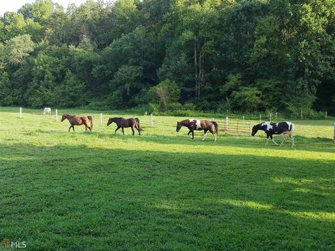 870 E Mize Rd, Demorest, GA 30535 photo 11