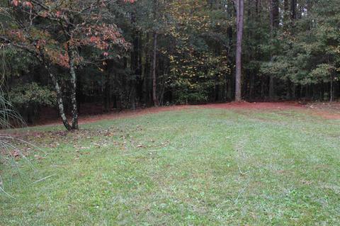 306 Spears, Mansfield, GA 30055 photo 33