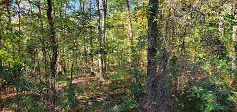 128 Farmbrook Trl, Stockbridge, GA 30281 photo 34