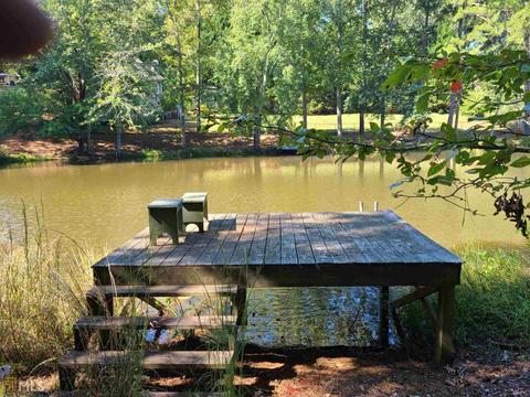 555 Morgan Ct, Hampton, GA 30228 photo 30