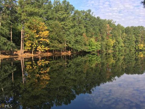 555 Morgan Ct, Hampton, GA 30228 photo 27