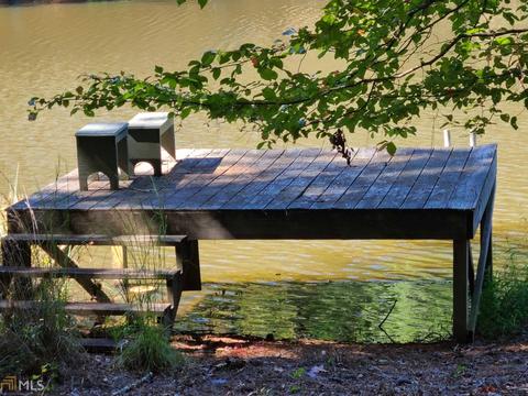 555 Morgan Ct, Hampton, GA 30228 photo 29