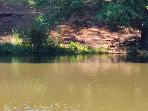 555 Morgan Ct, Hampton, GA 30228 photo 33