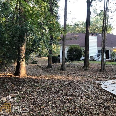 12691 Old Well Ct, Hampton, GA 30228 photo 10