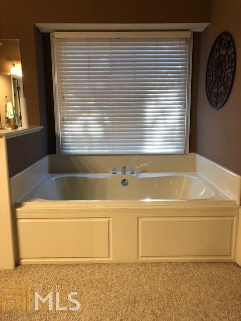 12691 Old Well Ct, Hampton, GA 30228 photo 18