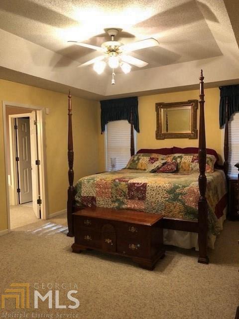 12691 Old Well Ct, Hampton, GA 30228 photo 13