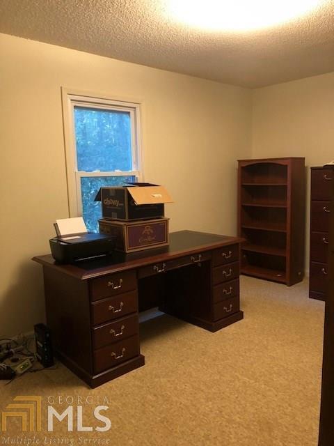 12691 Old Well Ct, Hampton, GA 30228 photo 23