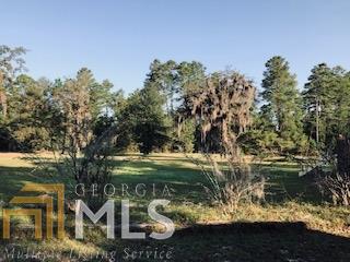 420 Pendleton Creek Rd, Lyons, GA 30436 photo 10