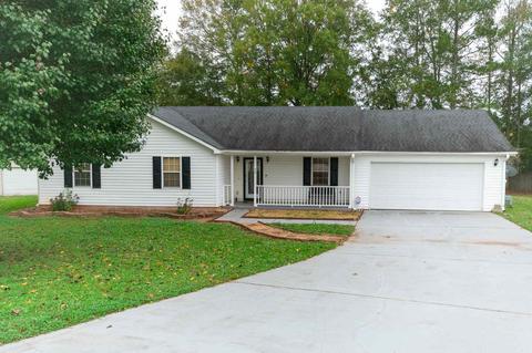 29 Green Springs Ct, Hampton, GA 30228 photo 1