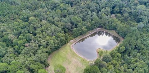 239 Nease Rd, Guyton, GA 31312 photo 4