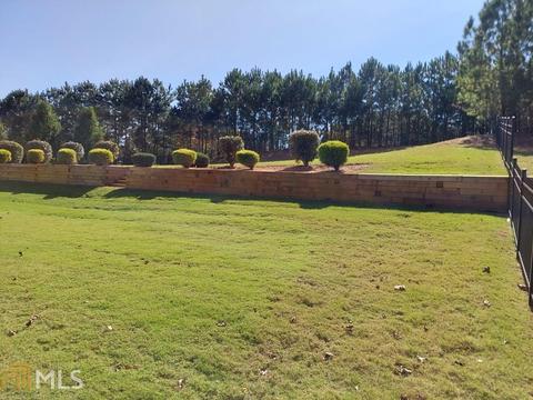 1017 Pampas Way, Hampton, GA 30228 photo 44