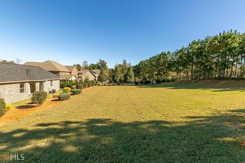 1017 Pampas Way, Hampton, GA 30228 photo 4