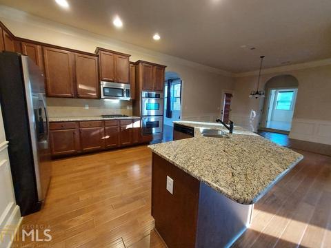 1017 Pampas Way, Hampton, GA 30228 photo 20