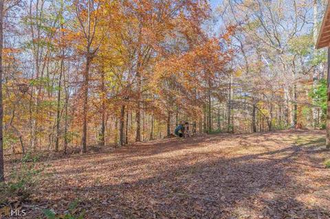 569 Watson St, Toccoa, GA 30577 photo 87