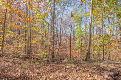 569 Watson St, Toccoa, GA 30577 photo 88