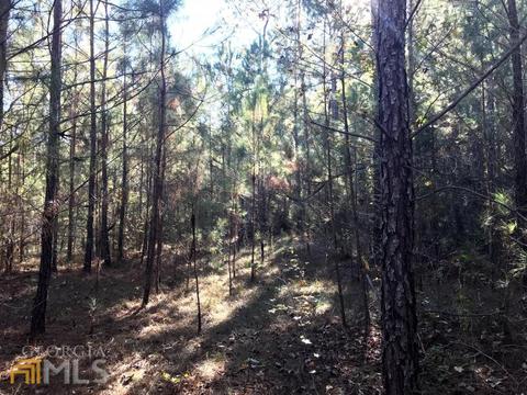 0 Upper Big Springs Rd, Lagrange, GA 30241 photo 9