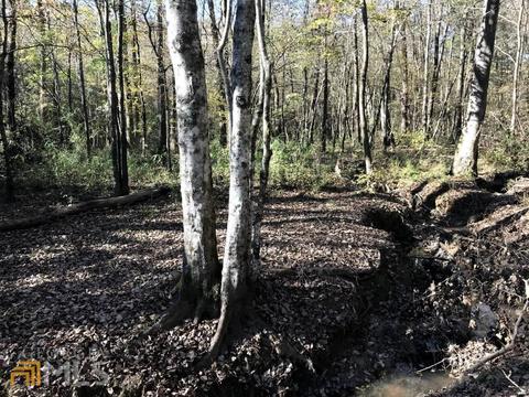 0 Upper Big Springs Rd, Lagrange, GA 30241 photo 3
