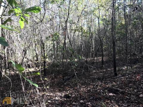 0 Upper Big Springs Rd, Lagrange, GA 30241 photo 8