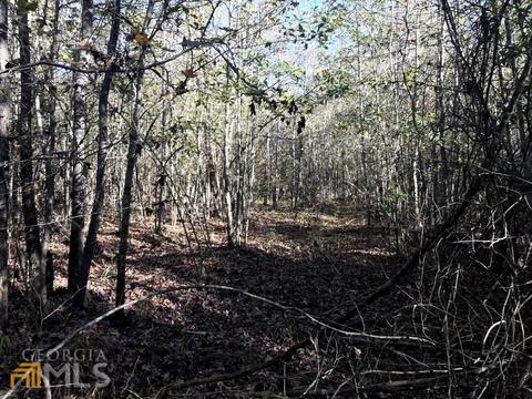 0 Upper Big Springs Rd, Lagrange, GA 30241 photo 7