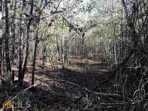 0 Upper Big Springs Rd, Lagrange, GA 30241 photo 5