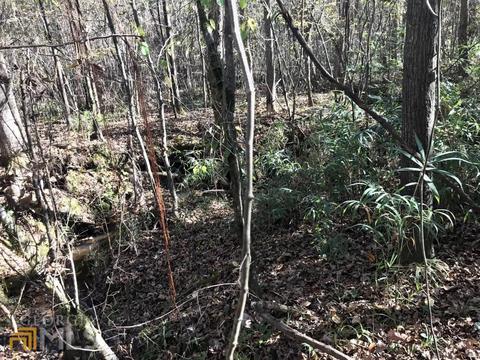 0 Upper Big Springs Rd, Lagrange, GA 30241 photo 6