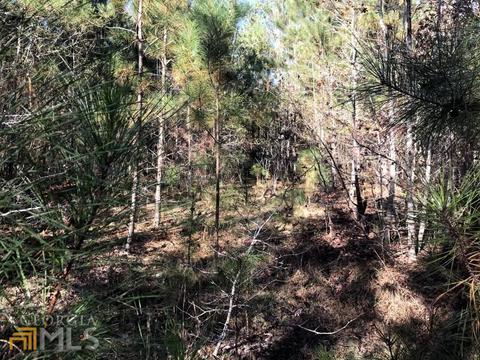 0 Upper Big Springs Rd, Lagrange, GA 30241 photo 10