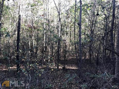 0 Upper Big Springs Rd, Lagrange, GA 30241 photo 4