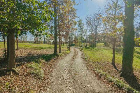 381 Sims Bridge Rd, Commerce, GA 30530 photo 2