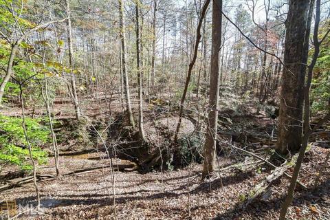 100 Gatewood Pl, Athens, GA 30607 photo 56