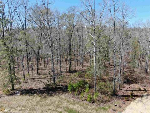 108 Elm Ct, Forsyth, GA 31029 photo 4