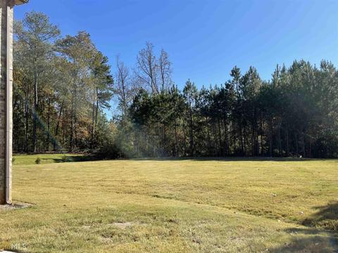 2117 Hammock Trl, Hampton, GA 30228 photo 3